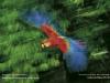 bird2.jpg
