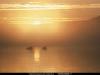 sunrise.jpg