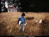 farm.jpg