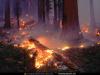 lava.jpg