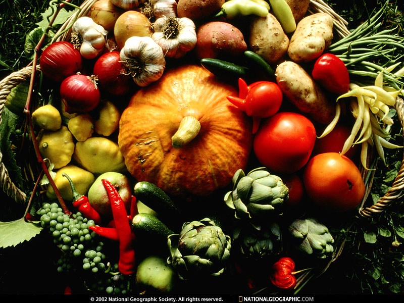 gourds.jpg