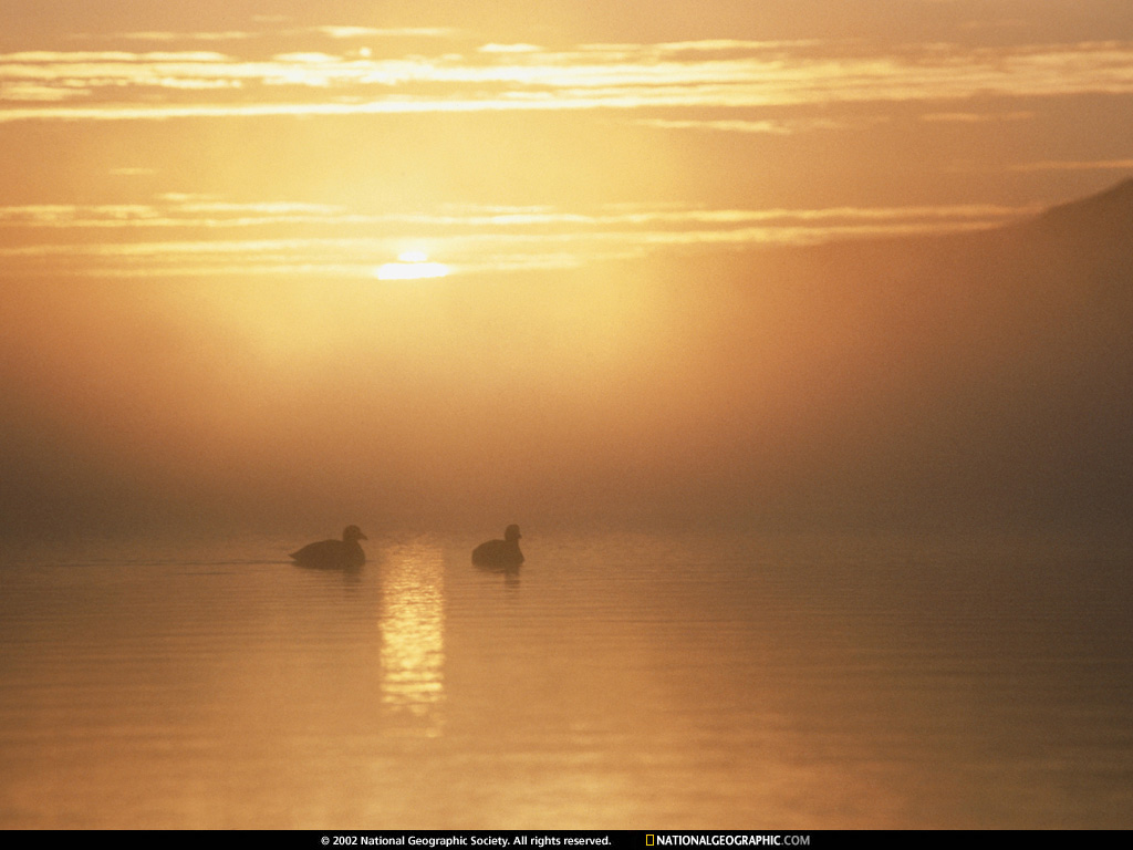 sunrise.jpg