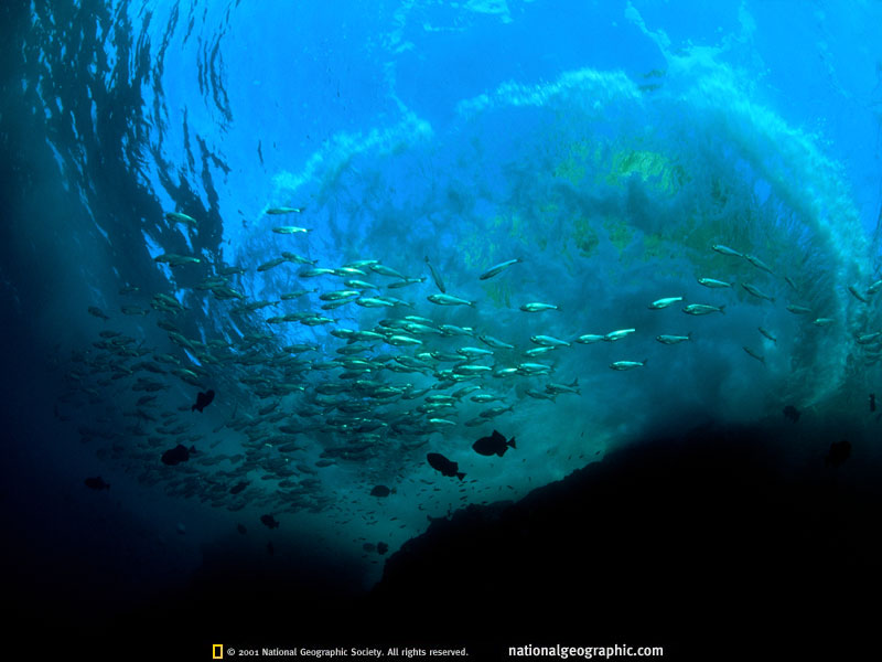 underwater.jpg