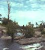 burleigh2.jpg
