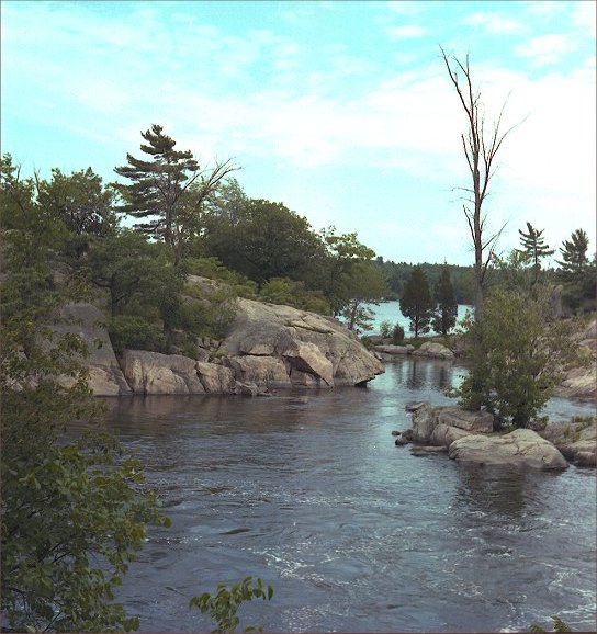 burleigh1.jpg