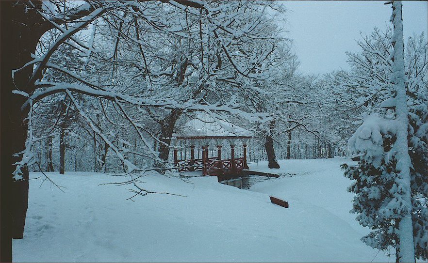jackson_park3.jpg