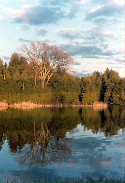 riverroad2.jpg